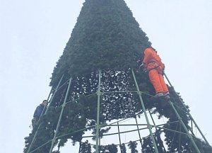 Новогодняя елка вновь будет светиться триколором