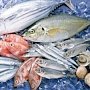 Около 900 кг рыбной продукции без маркировки изъяли в одном из районов северного Крыма