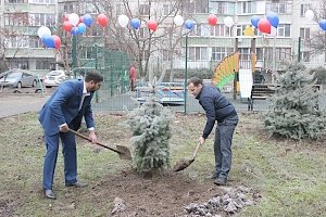 30 голубых елей высадили на столичных улицах Маршала Жукова, Набережной и Бела Куна