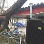 В Керчи огромное дерево упало на остановку в центре города