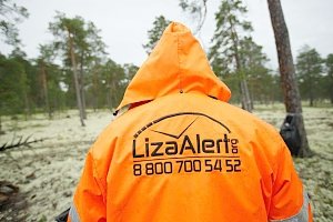 Поисковый отряд «Лиза Алерт» проведёт встречу с добровольцами в Керчи
