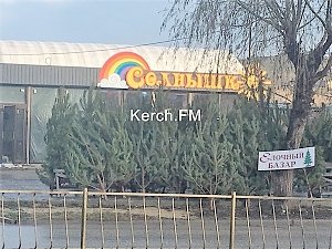 Продажа елок в Керчи началась и около Ворошиловского рынка