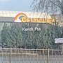 Продажа елок в Керчи началась и около Ворошиловского рынка