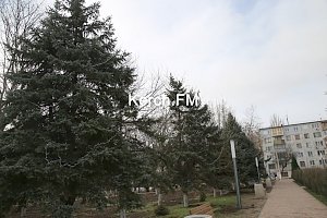В Комсомольском парке установили новогоднюю елку