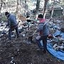 Коммунальные службы ликвидировали в Ялте пять несанкционированных свалок мусора