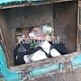 В жилых домах Аршинцево мусор вываливается из мусоропровода