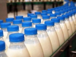 Крым занимает второе место в ЮФО по среднесуточному надою молока
