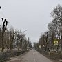 По «следам» Крымской столицы: В Красноперекопске обрезают деревья