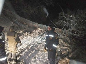 Более 12 часов спасатели помогали туристам, заблокированным на плато Ай-Петри