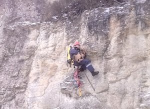 Спасатели сняли со скалы собаку