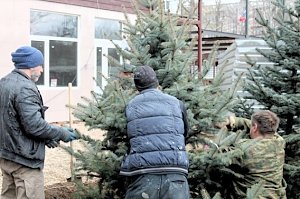 Благоустройство территории у Богдановского рынка закончилось скандалом