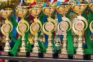 Каратисты из Симферопольского района успешно выступили на соревнованиях в Краснодаре