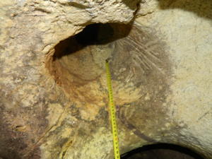 Пещера «Таврида» может стать туристическим и научно-исследовательским объектом
