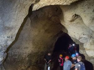 Пещеру с костями древних животных под «Тавридой» откроют для туристов через полтора года