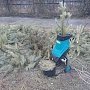 Симферопольцы сдали на переработку более 500 новогодних деревьев в рамках акции «Ёлковорот»