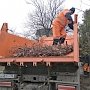 В крымской столице вновь обрезали деревья