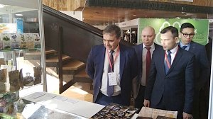 В Ялте открылась VII сельскохозяйственная выставка «АгроЭкспоКрым»