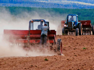 Сельскохозяйственные предприятия Ленинского района уже посеяли 1031 га зерновых и 479 га эфиромасличных культур