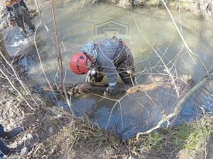 Чернореченский каньон вновь очистили от заторов