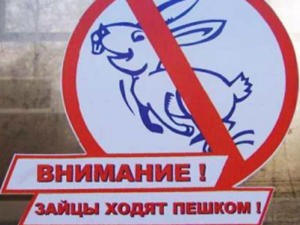Крымавтотранс зафиксировал за месяц перевозку более 400 безбилетных пассажиров