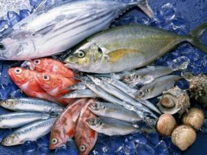 Вылов рыбы в Азовском море снизился на 8%, однако в добыча в Чёрном море на высоком уровне, — Росрыболовство