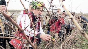 Крымские болгары отметили национальный праздник Трифона Зарезана