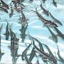 Изменения в законе об аквакультуре станут стимулом для развития крымской рыбной отрасли, — Рюмшин