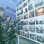 На площади Нахимова устроили фотовыставку «Майдан глазами защитников»
