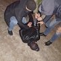 В Крыму полицейскими задержана группа лиц, подозреваемых в совершении тяжких преступлений