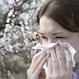 В Крыму начался промежуток времени сезонной аллергии