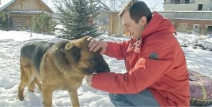 Как живётся найденному в Бахчисарае и возвращённому в Челябинск псу