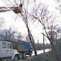 Работы по содержанию зелёных насаждений в столице Крыма с приходом весны проводят каждый день, — Коновалов