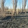 МЧС: с начала года крымские пожарные ликвидировали 139 пожаров в природной среде