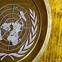Представитель Крыма выступит в ООН с докладом по «керченскому инциденту»