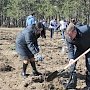 Приуроченную к 5-летию воссоединения с Россией акцию по высадке саженцев деревьев провели в Крыму