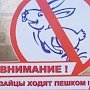 «Крымавтотранс» зафиксировал посадку водителями рейсовых автобусов более 700 «зайцев»
