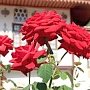Мастер-класс Ханские розы произойдёт в Бахчисарайском музее-заповеднике