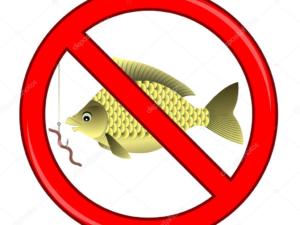 До 31 мая в Крыму запрещён вылов рыбы во внутренних водных объектах