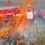 С 11 апреля в Севастополе объявят начало пожароопасного сезона