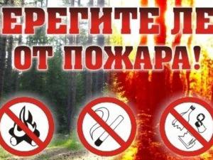 МЧС: Экстренное предупреждение о высокой пожарной опасности в Крыму 10-12 апреля