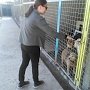 Студены ГПА посетили приют для собак
