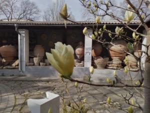 Выставка «Анималистическая скульптура» пройдёт в Восточно-Крымском музее