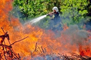 Внимание! 11 апреля в Севастополе начался пожароопасный сезон!