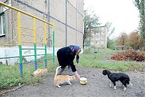 Налог на домашних животных имеют возможность ввести уже в этом году