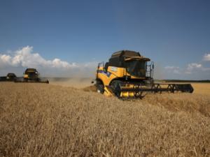Крымские аграрии рассчитывают собрать более миллиона тонн зерна в 2019 году