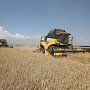 Крымские аграрии рассчитывают собрать более миллиона тонн зерна в 2019 году