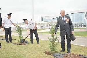 Аллея памяти героев Великой Отечественной войны высажена в аэропорту