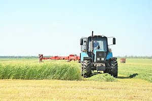 Животноводческие хозяйства Крыма заготовят 100 тыс тонн кормов, обеспечив полуторагодовой запас
