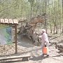 На территории лесного фонда Республики Крым проведены энтомологические обследования