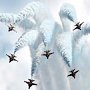 Авиационные группы высшего пилотажа выполнят воздушные программы в небе над Крымом и Севастополем